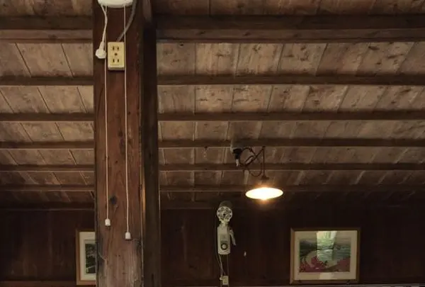 しむじょうの写真・動画_image_179057