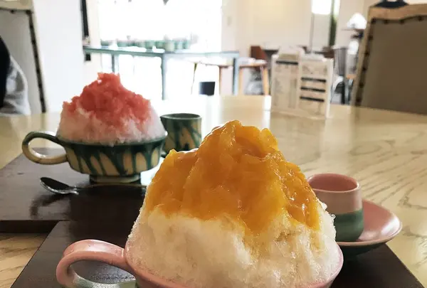 瑠庵+島色の写真・動画_image_179058