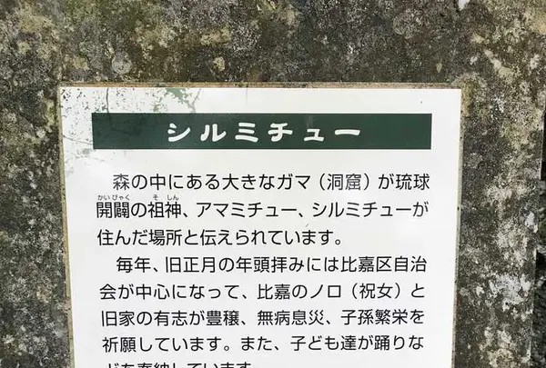 シルミチューの写真・動画_image_179078