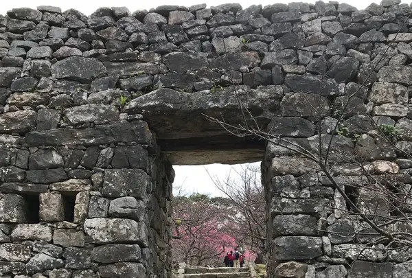 今帰仁城跡の写真・動画_image_179111