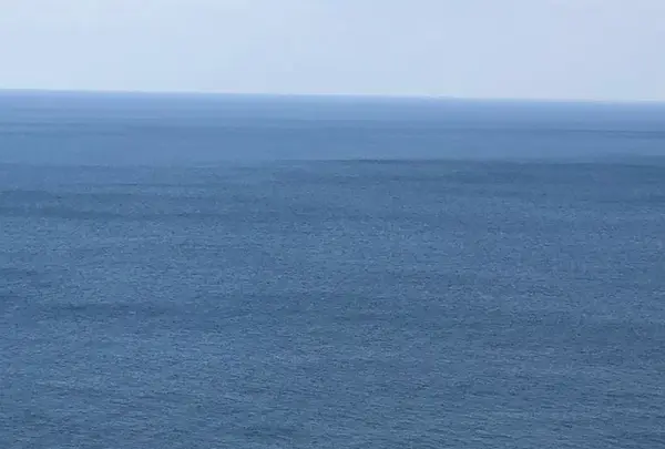 サンメッセ日南の写真・動画_image_179225