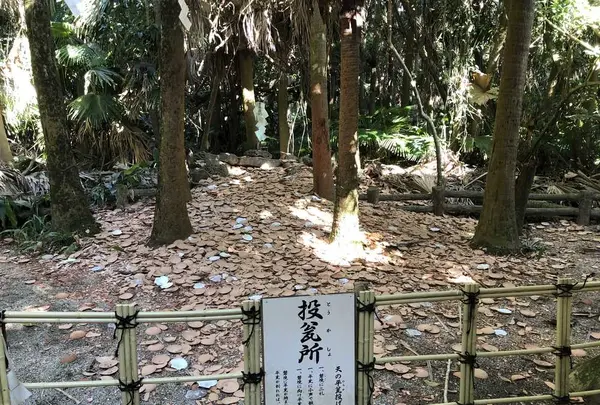 青島神社の写真・動画_image_179249