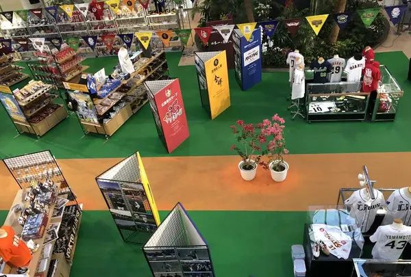 宮崎空港（宮崎ブーゲンビリア空港）の写真・動画_image_179253