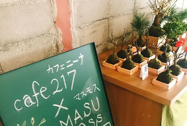 cafe217の写真・動画_image_179492