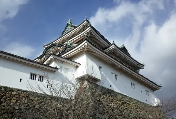 和歌山城の写真・動画_image_179527
