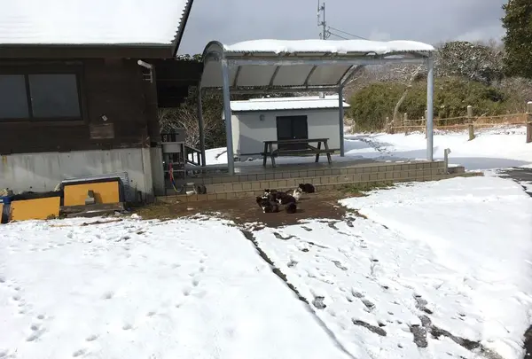 石巻市マンガアイランドの写真・動画_image_179636