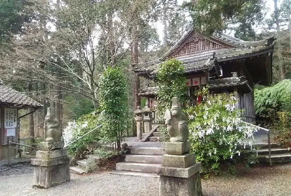 猿丸神社の写真・動画_image_179882