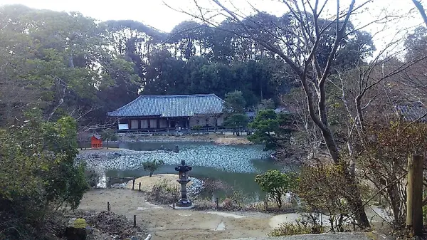 浄瑠璃寺の写真・動画_image_179921