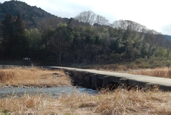 恋志谷神社の写真・動画_image_179929