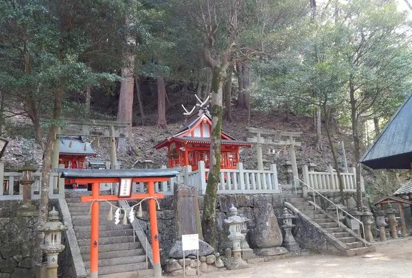 恋志谷神社の写真・動画_image_179932