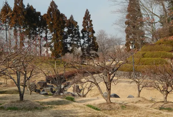 けいはんな記念公園の写真・動画_image_179950