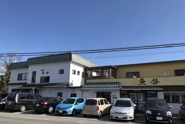 魚啓の写真・動画_image_180006