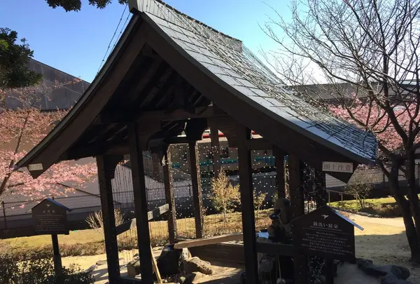 伊豆高原駅 伊豆急行の写真・動画_image_180099