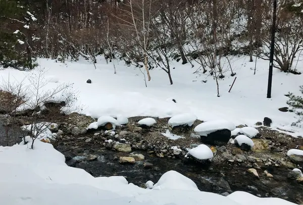 西の河原公園の写真・動画_image_180138