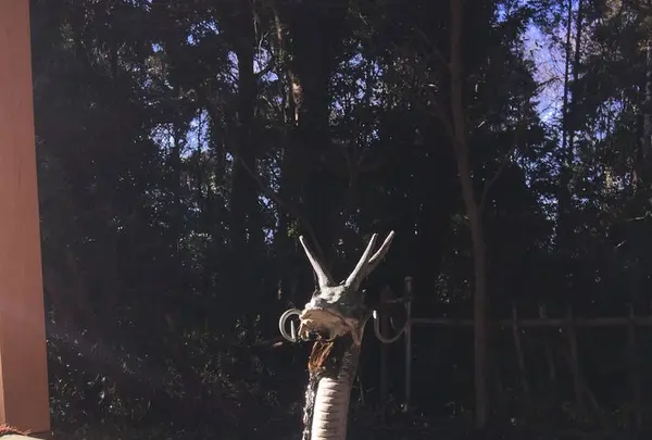 息栖神社の写真・動画_image_180319