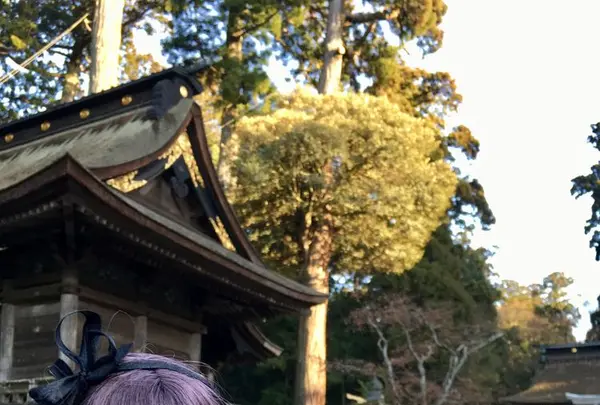 鹿島神宮の写真・動画_image_180326