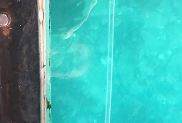 野島埼灯台の写真・動画_image_180335