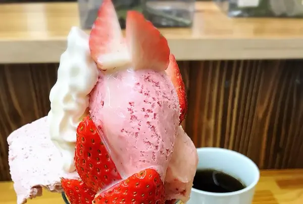 コナヤの写真・動画_image_180395