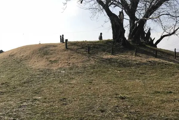 塚越古墳の写真・動画_image_180511