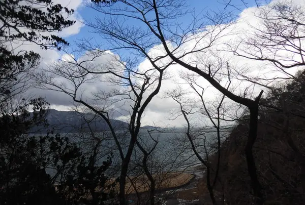 史跡金ヶ崎城跡の写真・動画_image_181047