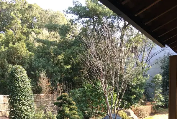 赤沢迎賓館の写真・動画_image_181053