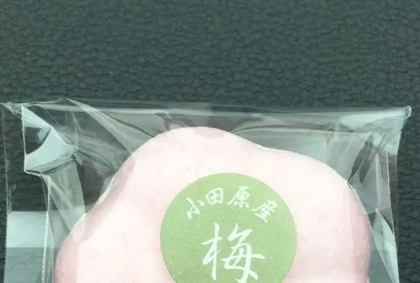 鈴廣 かまぼこの里の写真・動画_image_181058