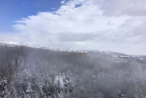 草津温泉の写真・動画_image_181572