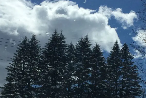 浅間山の写真・動画_image_181573