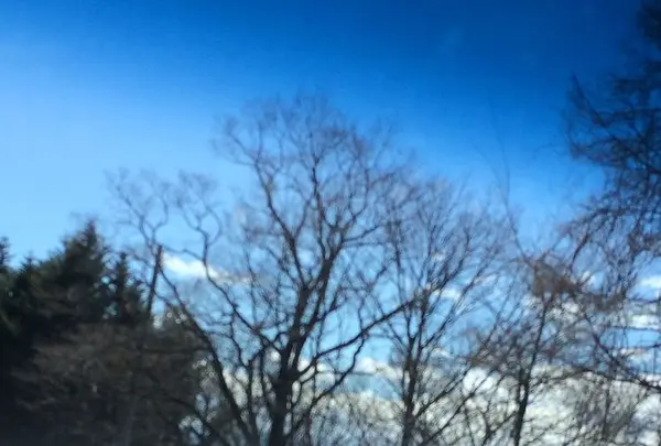 日本ロマンチック街道の写真・動画_image_181575