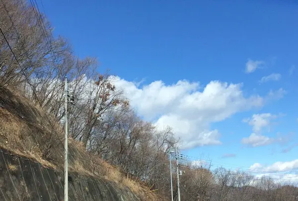 軽井沢の写真・動画_image_181600