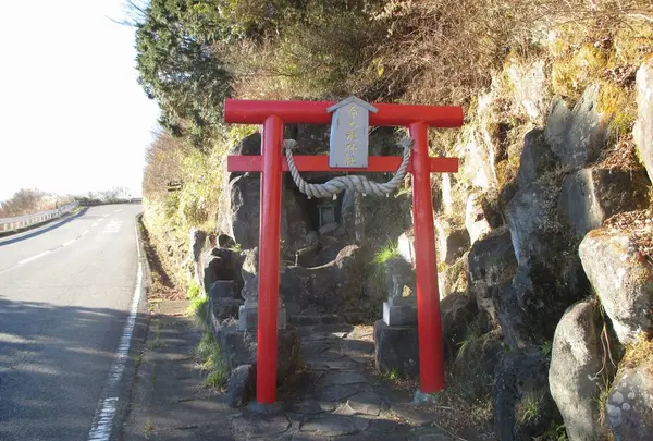 芦ノ湖スカイラインの写真・動画_image_181610