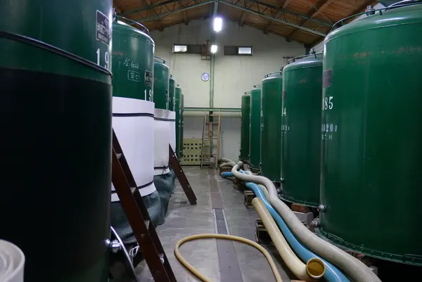 澤田酒造(株)の写真・動画_image_181679