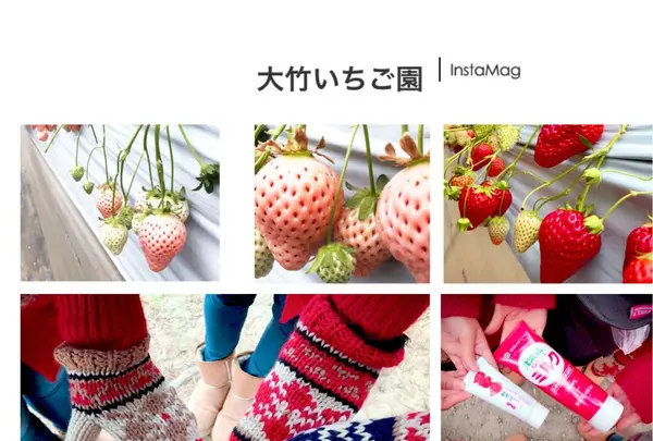 大竹いちご園の写真・動画_image_181742