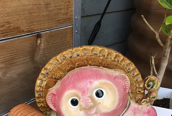 まるい食パン専門店 つるやパンの写真・動画_image_181919