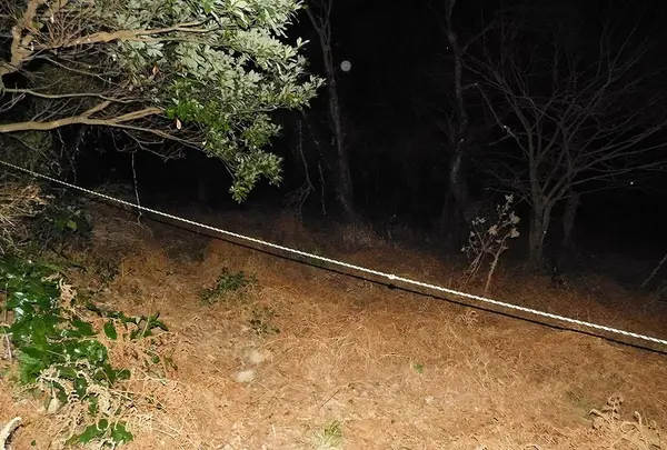 日本平パークウェイの歩道橋の写真・動画_image_181993