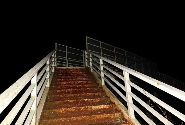 日本平パークウェイの歩道橋の写真・動画_image_181994
