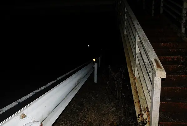 日本平パークウェイの歩道橋の写真・動画_image_181995