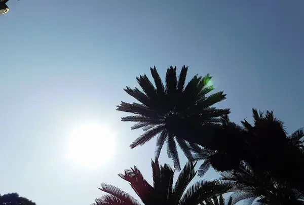 久能山東照宮の写真・動画_image_182000