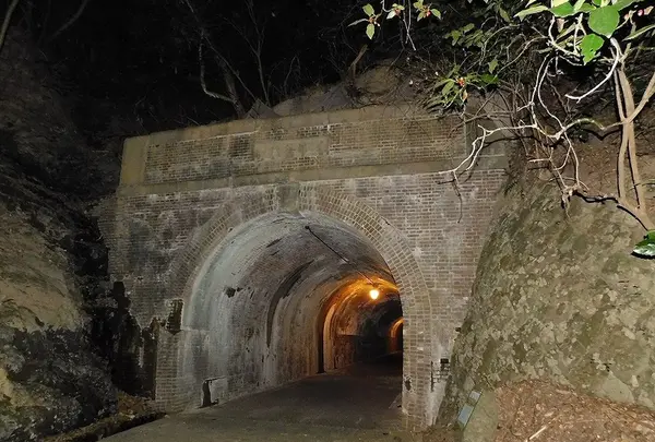 国登録文化財「明治宇津ノ谷隧道」の写真・動画_image_182012