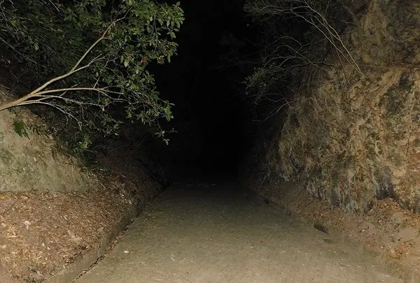 国登録文化財「明治宇津ノ谷隧道」の写真・動画_image_182013