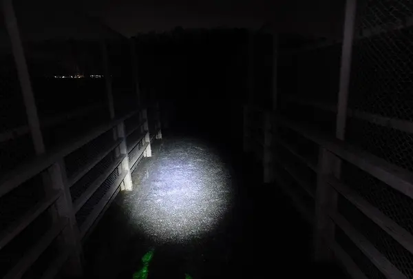 日本平パークウェイの歩道橋の写真・動画_image_182044