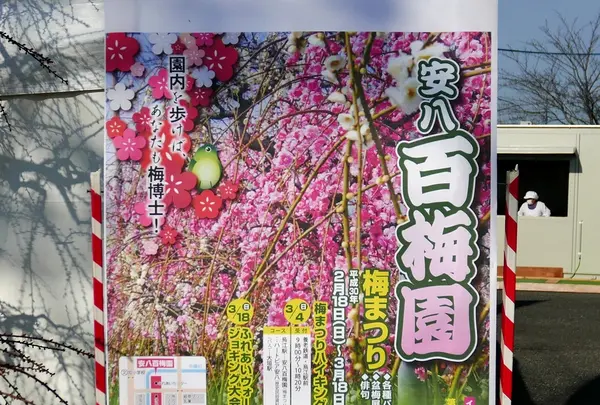 安八百梅園の写真・動画_image_182070