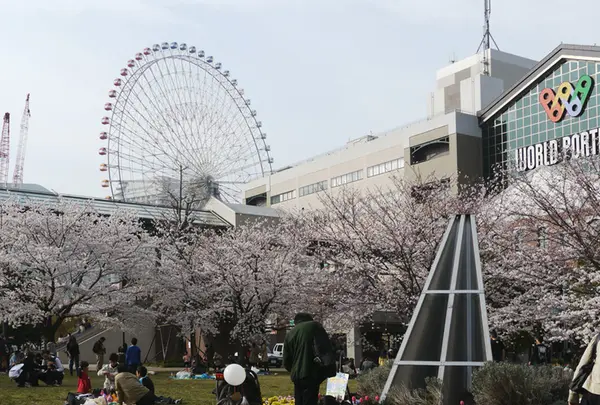 横浜汽車道の写真・動画_image_182187