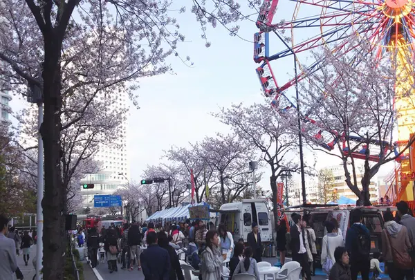 さくら通りの写真・動画_image_182188