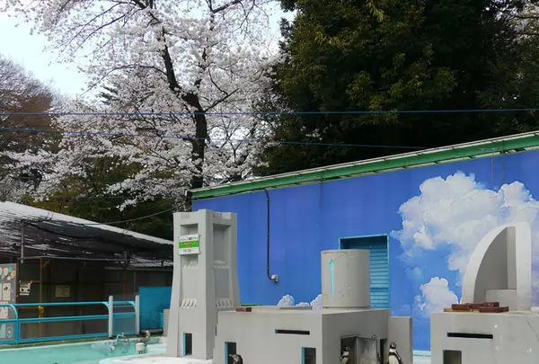 野毛山動物園の写真・動画_image_182194