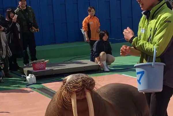 伊勢シーパラダイスの写真・動画_image_182263