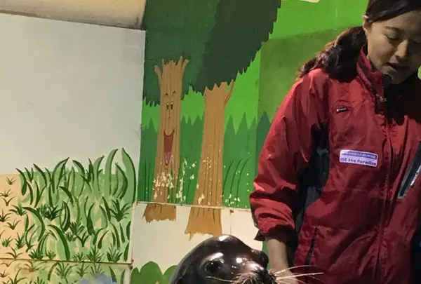 伊勢シーパラダイスの写真・動画_image_182264