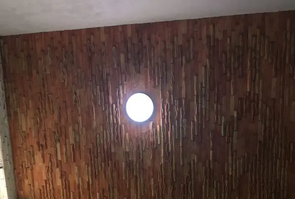 衣笠温泉旅館の写真・動画_image_183324
