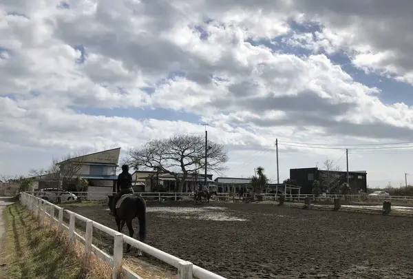 一の宮乗馬センターの写真・動画_image_183394