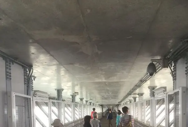 新湊大橋の写真・動画_image_183783